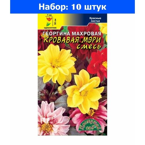 Георгина Кровавая Мэри махровая 0,2г Одн 50см (Цвет сад) - 10 пачек семян