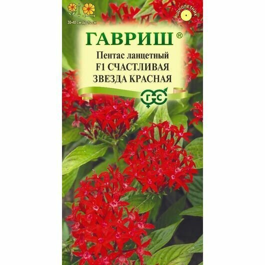 В заказе: 10 пачек семян / Пентас Счастливая звезда красная ланцетный F1 3шт Одн 40см (Гавриш) Н23