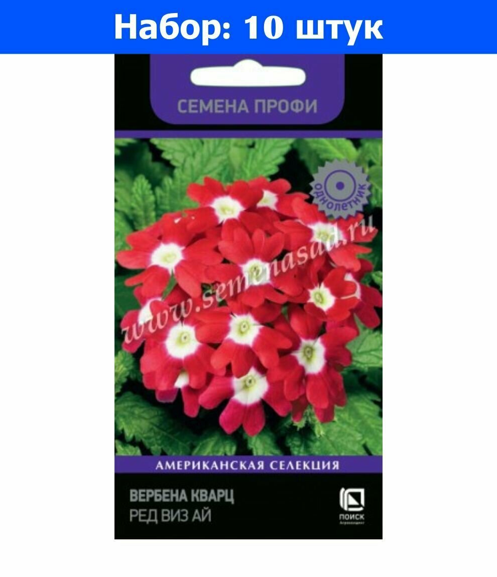 Вербена Кварц Ред виз Ай 10шт Одн 20см (Поиск) Профи - 10 пачек семян