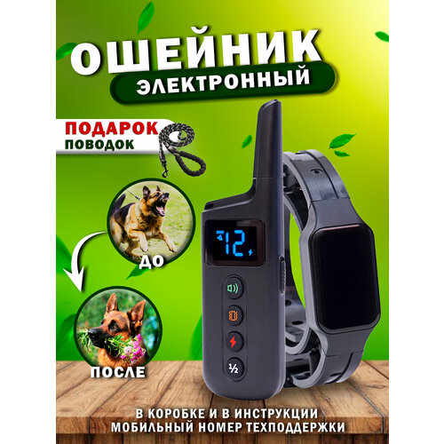 Электронный ошейник QD-360 + бонус