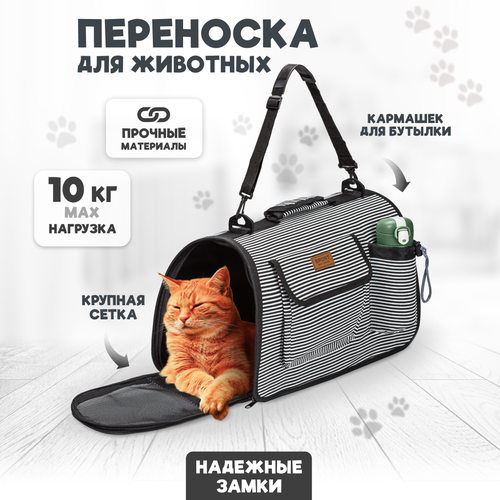 Переноска для кошек Solmax в поездку, сумка для животных, прозрачная
