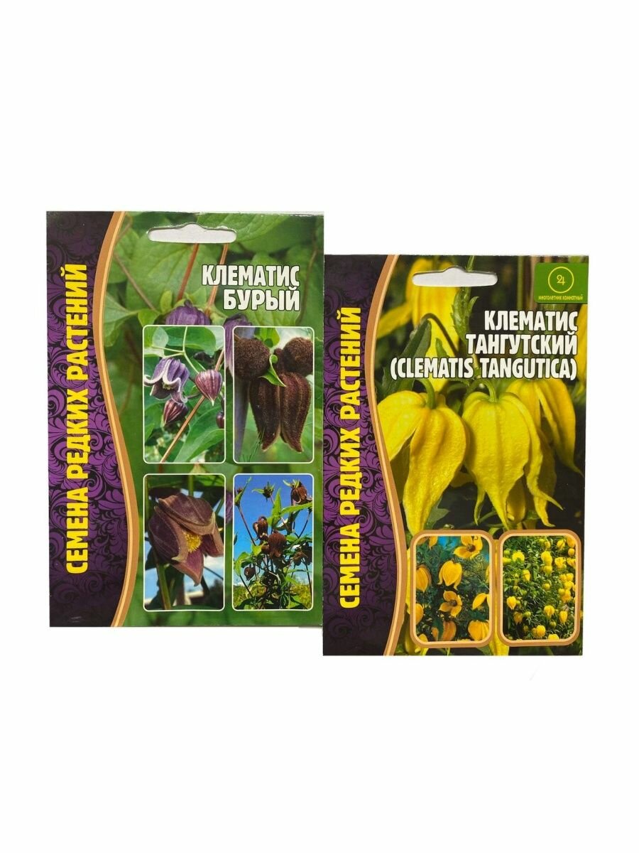 фото Семена цветов для сада многолетник Клематис бурый тангутский