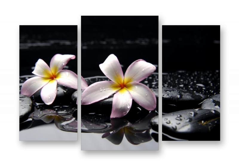 Модульная картина на стекле | Diva Kartina | Цветы. Магнолия в воде | 100X70 см