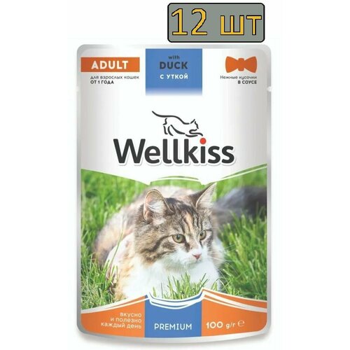 12 штук Wellkiss Adult Влажный корм (пауч) для взрослых кошек, с уткой в соусе, 85 гр