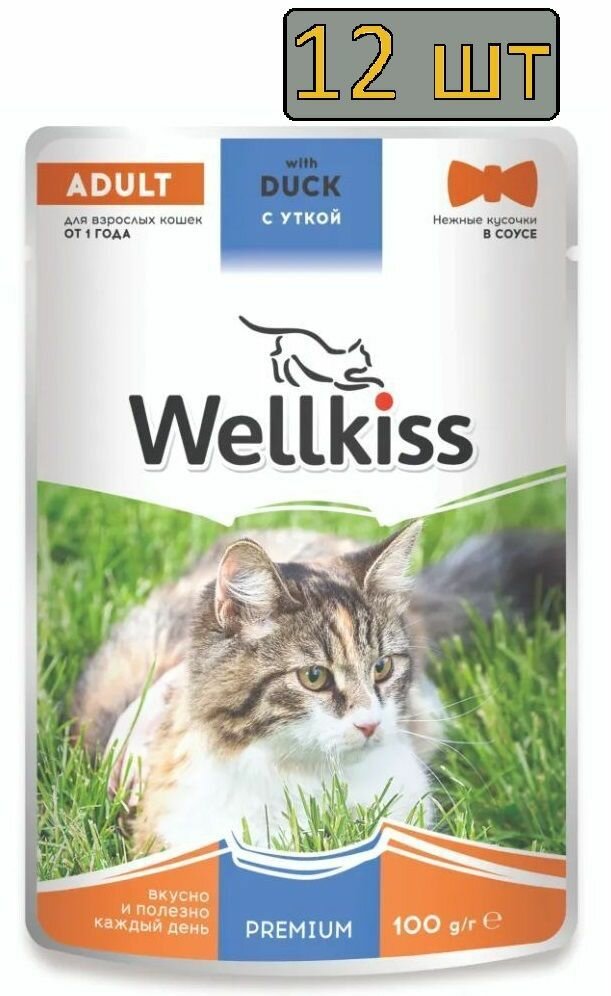 12 штук Wellkiss Adult Влажный корм (пауч) для взрослых кошек, с уткой в соусе, 85 гр