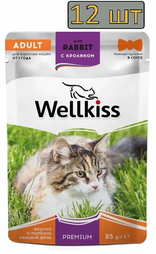 12 штук Wellkiss Adult Влажный корм (пауч) для взрослых кошек, с кроликом в соусе, 85 гр.