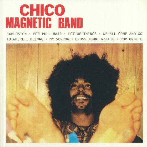 Chico Magnetic Band Виниловая пластинка Chico Magnetic Band Chico Magnetic Band