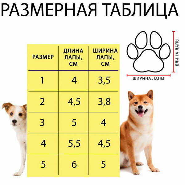 Ботинки "Кристмес", набор 4 шт, размер 3 - фотография № 9