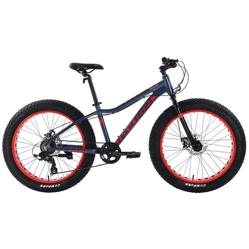 Фэтбайк TechTeam Garet 24х14 серый 2023 4050000₽