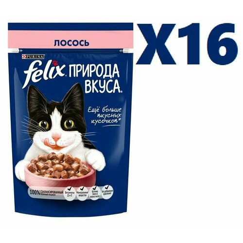 Влажный корм Felix Природа вкуса с лососем в соусе 75г 16 шт