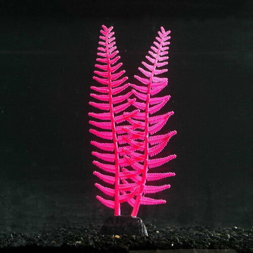 Растение силиконовое аквариумное, светящееся в темноте, 8 x 23 см, розовое