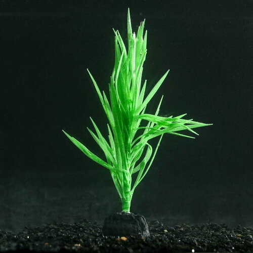 Растение силиконовое аквариумное, светящееся в темноте, 7 x 12.5 см, зелёное