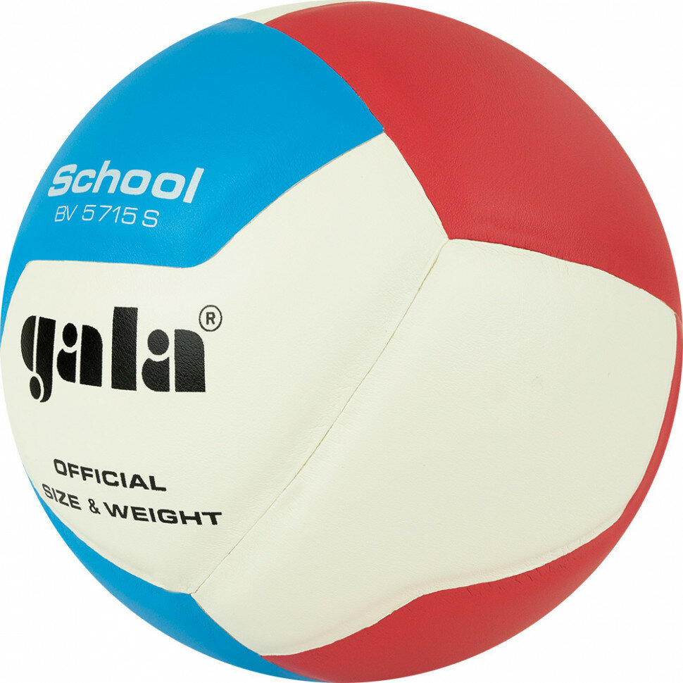 Мяч волейбольный GALA School 12 BV5715S, р. 5