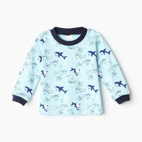 фото Лонгслив my little kitty, размер 68, голубой