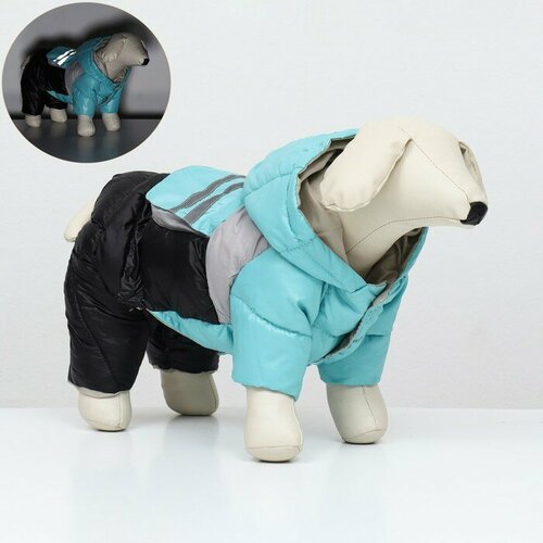 Комбинезон Анорак светоотражающий размер 8 ДС 19 см ОГ 30 ОШ 22 см чёрно-голубой 1512₽