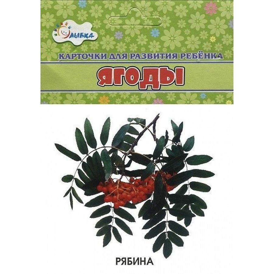 Развивающие карточки Улыбка Ягоды. 12 шт