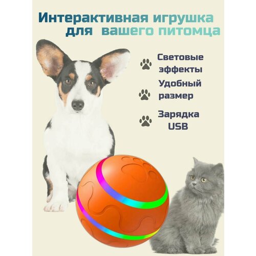 Вращающийся мяч для собак средних пород, оранжевый