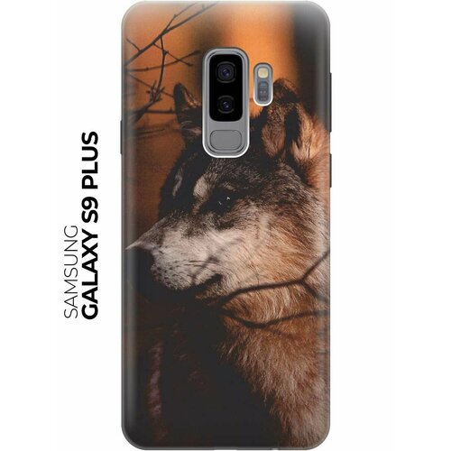 RE: PAЧехол - накладка ArtColor для Samsung Galaxy S9 Plus с принтом Красивый волк re paчехол накладка artcolor для samsung galaxy s9 plus с принтом сердечки