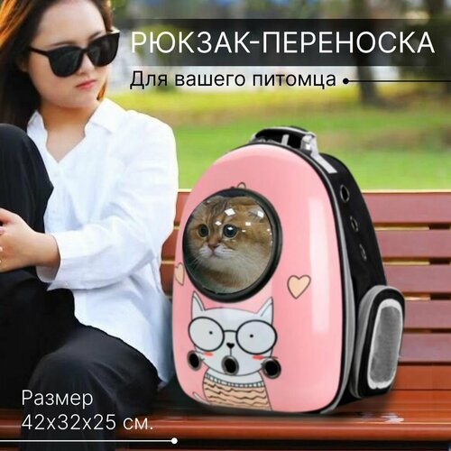 Рюкзак переноска для кошек с иллюминатором