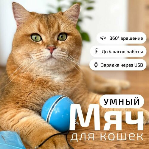 Игрушка для кошек интерактивная, умный мяч, дразнилка
