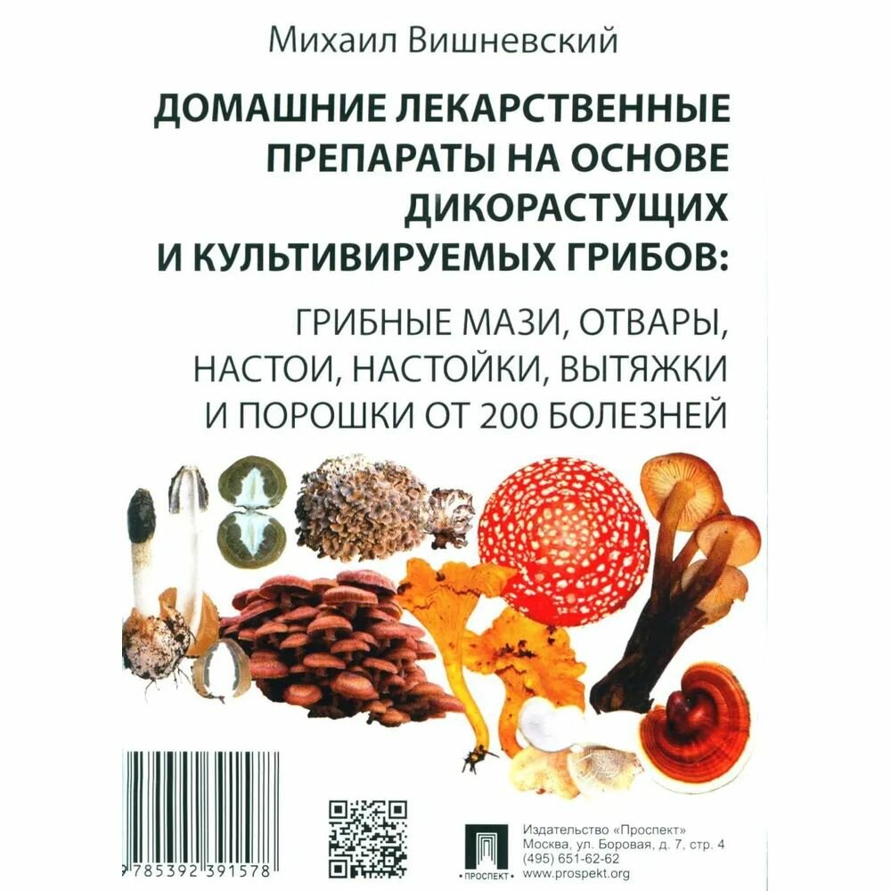 Книга Домашние лекарственные препараты на основе дикорастущих и культивируемых грибов: ... - фото №2