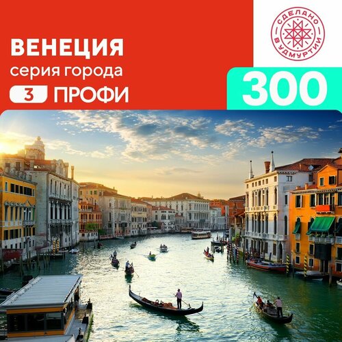 Пазл Венеция 300 деталей Профи