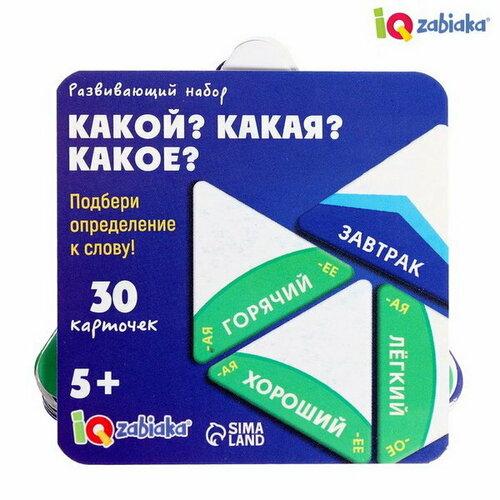 какой какая какое в городе Развивающий набор Какой? какая? какое?