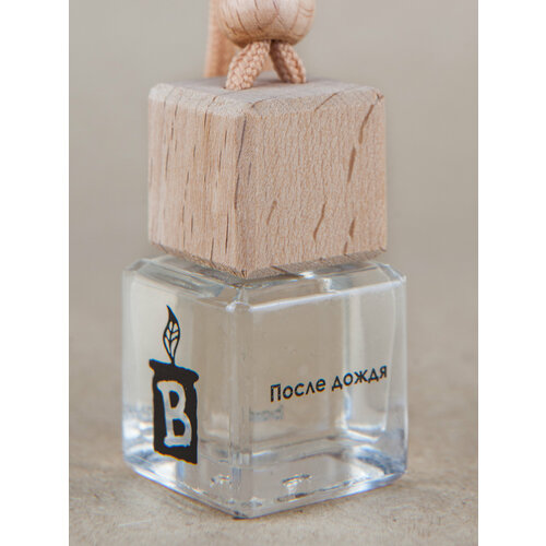 Автодиффузор После дождя 455₽