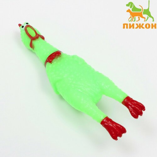 Игрушка пищащая "Задумчивая курица" малая для собак, 16,5 см, ярко-зелёная, 6244383