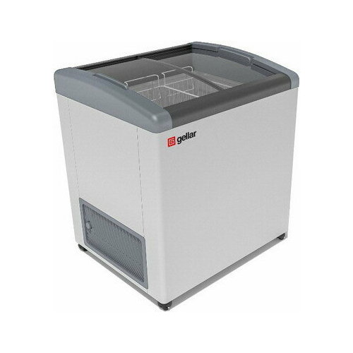 Морозильная камера Frostor-Gellar FG 250 E серый наклонное гнутое стекло 3919500₽