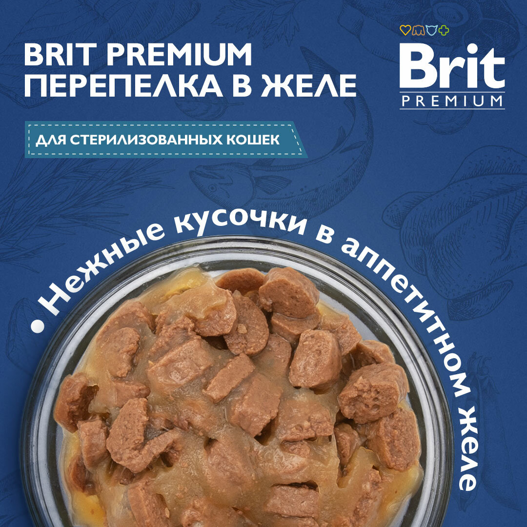 Влажный корм для кошек Brit Premium Перепелка в желе 85 г - фотография № 7