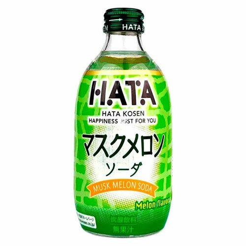 Газированный напиток Hatakosen Musk Melon Soda со вкусом мускусной дыни, 300 мл