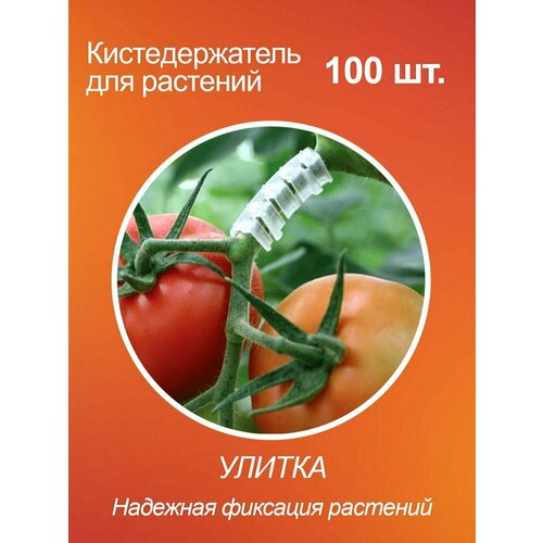 Кистедержатель улитка для томатов помидор и растений, пластик, 100 шт.