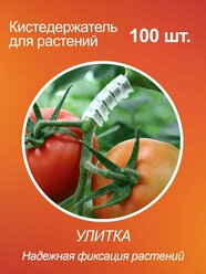Кистедержатель улитка для томатов помидор и растений, пластик, 100 шт.