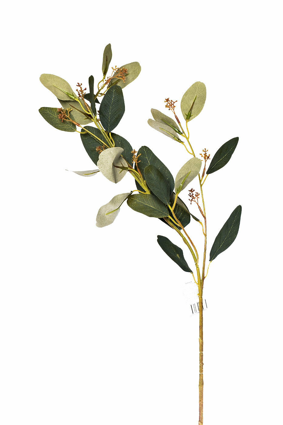 Веточка эвкалипта с цветами листья зеленые Garda Decor