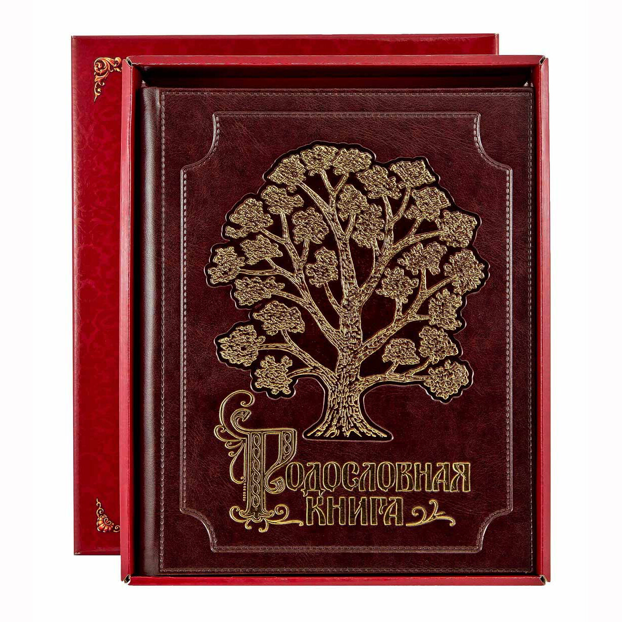 Родословная книга "Золоченное древо" кож. зам с золочением (в подарочной коробке) РК-74