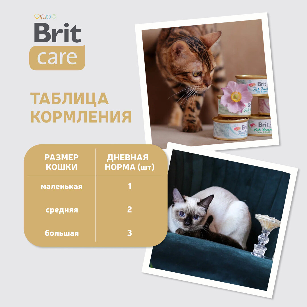 Влажный корм Brit Care для взрослых кошек, куриная грудка/сыр, 80г - фото №15