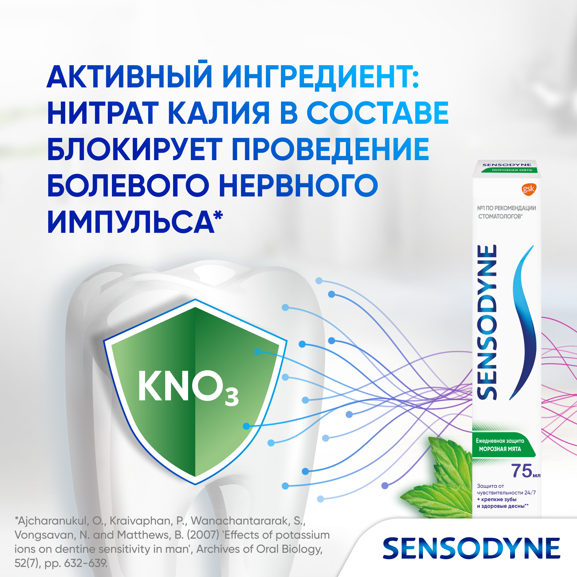 Зубная паста Sensodyne Ежедневная Защита Морозная мята с фтором, для снижения чувствительности зубов и защиты от кариеса, 75мл*2шт