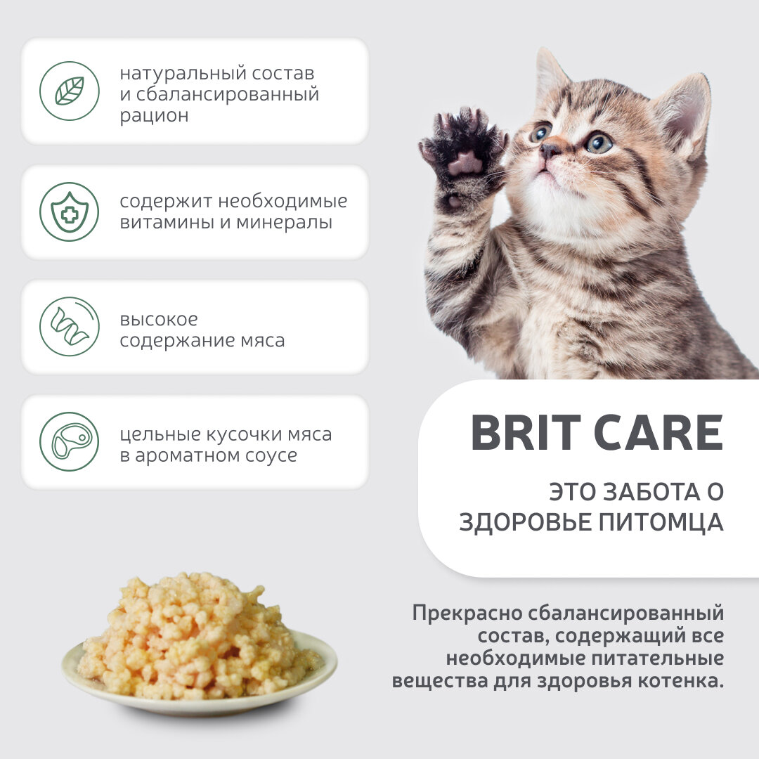 Влажный корм для кошек BRIT - фото №3