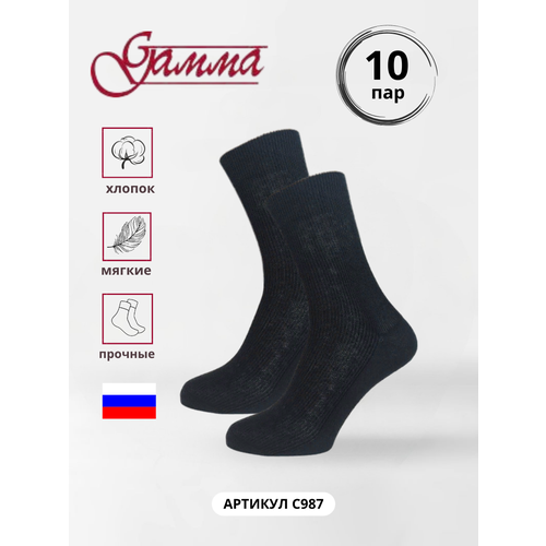 Мужские носки ГАММА, 10 пар, классические, размер 47/48, черный