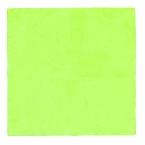 Платок WHY NOT BRAND,53х53 см, зеленый платок why not brand 53х53 см бежевый желтый