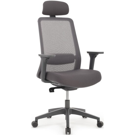 Кресло руководителя Riva Design WORK W-218C Grey Серый пластик/Серая сетка 65-64-113-123