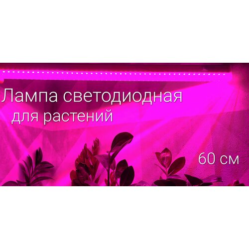 Фитолампа для растений/ лампа светодиодная для ускорения роста, 60см/ светильник линейный розовое свечение