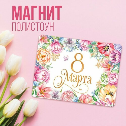 Магнит полимерный 