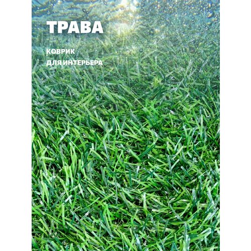 Коврик трава для комнаты 60*90