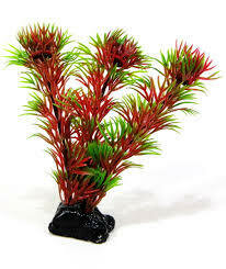 Растение Кабомба красно-зелёная пластик 34см