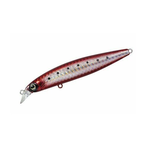 фото Daiwa, воблер seabass hunter z 95s, b.i