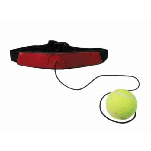 П6 Тренажер Точный удар кожа и резинка 551₽