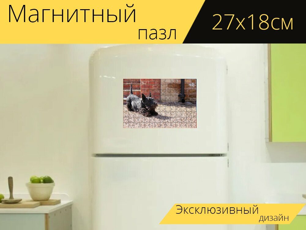 Магнитный пазл "Собака, шотландский терьер, скотти" на холодильник 27 x 18 см.