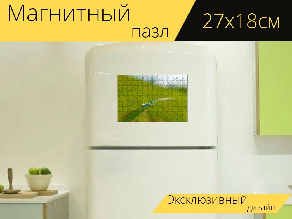 Магнитный пазл "Капли воды, роса, трава" на холодильник 27 x 18 см.